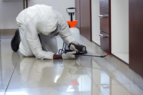 Delhi Pest Control And Fumigation